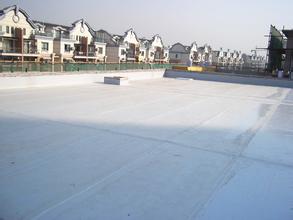 ���̰���