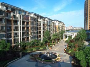 ���̰���